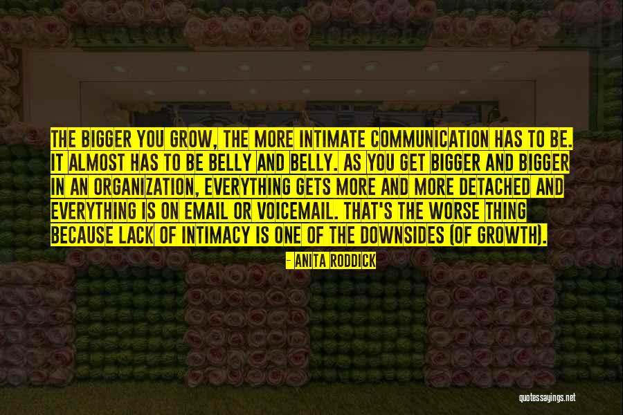 Communication Is Everything Quotes By Anita Roddick