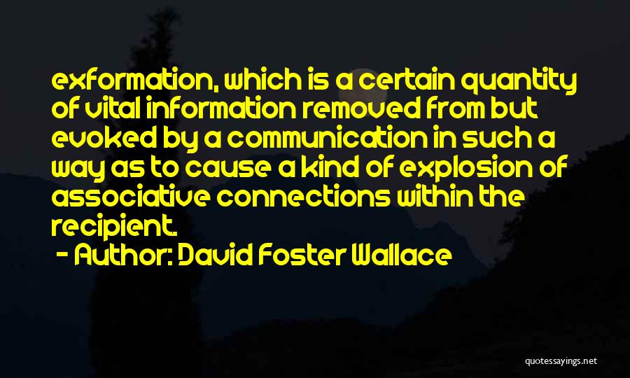 Communication Is Vital Quotes By David Foster Wallace