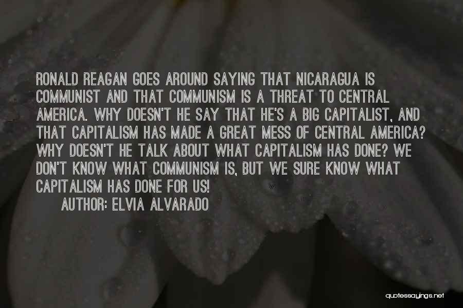 Communism In America Quotes By Elvia Alvarado