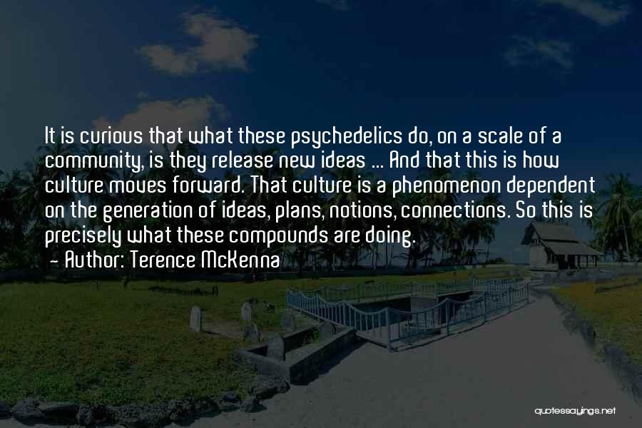 Community And Culture Quotes By Terence McKenna