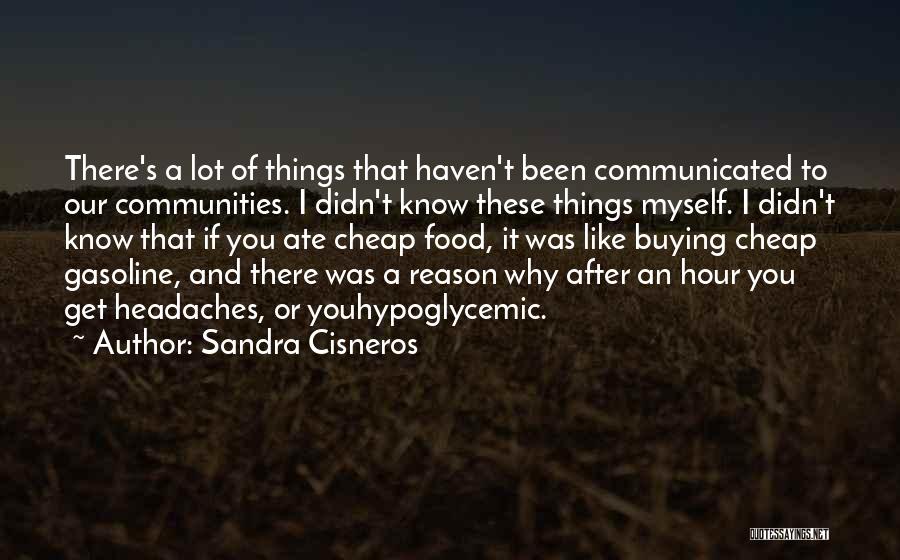 Community And Food Quotes By Sandra Cisneros