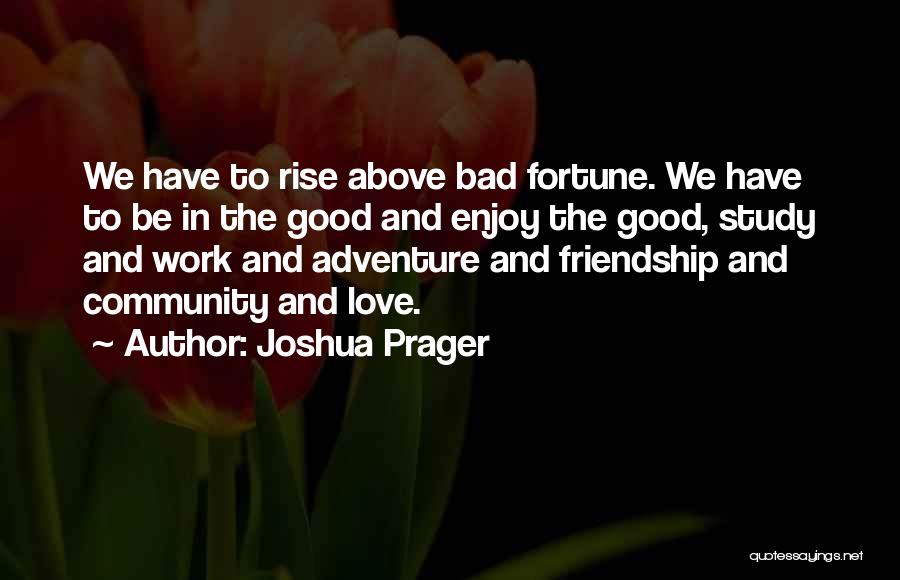 Community And Friendship Quotes By Joshua Prager