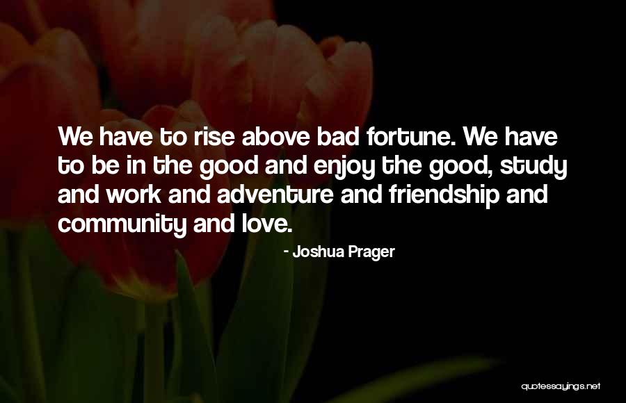 Community And Friendship Quotes By Joshua Prager