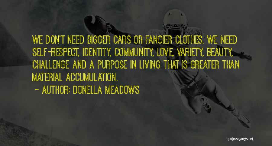 Community And Identity Quotes By Donella Meadows