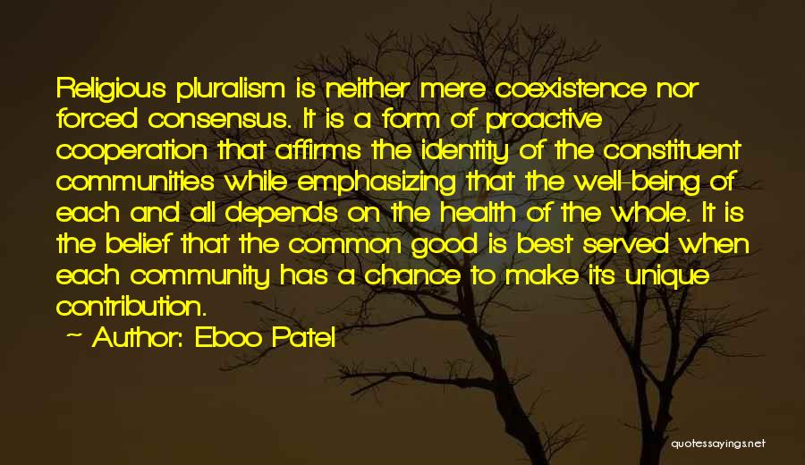 Community And Identity Quotes By Eboo Patel