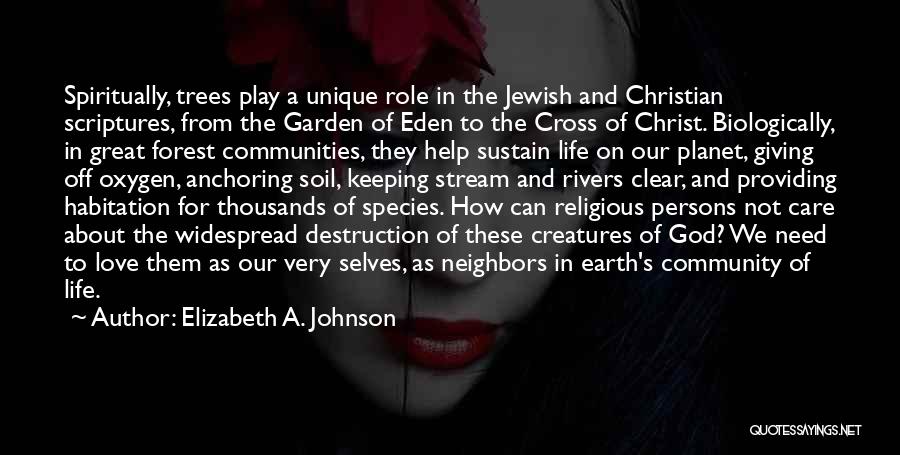 Community And Neighbors Quotes By Elizabeth A. Johnson