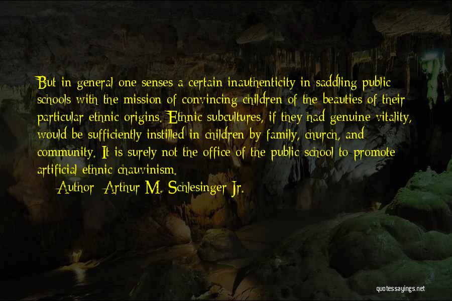 Community And School Quotes By Arthur M. Schlesinger Jr.