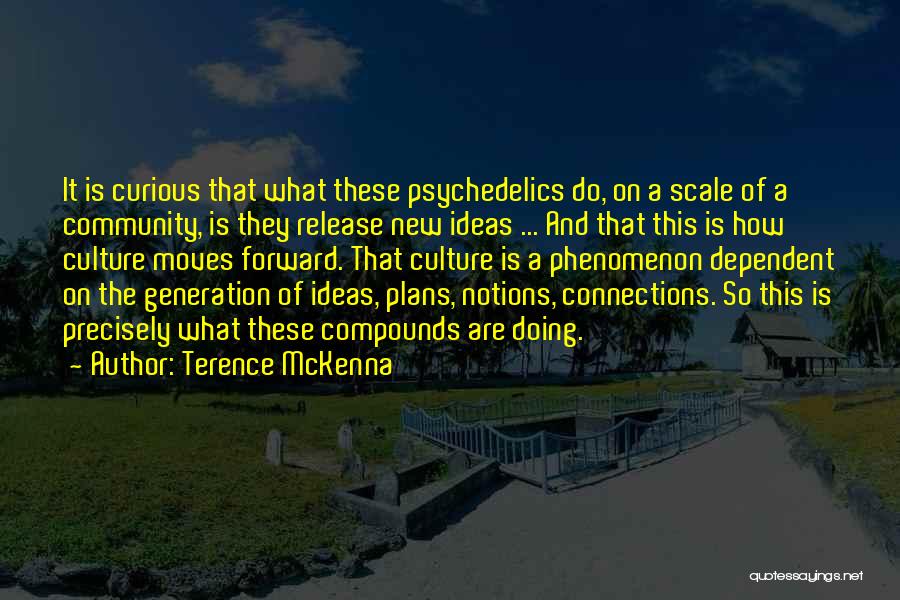 Community Connections Quotes By Terence McKenna