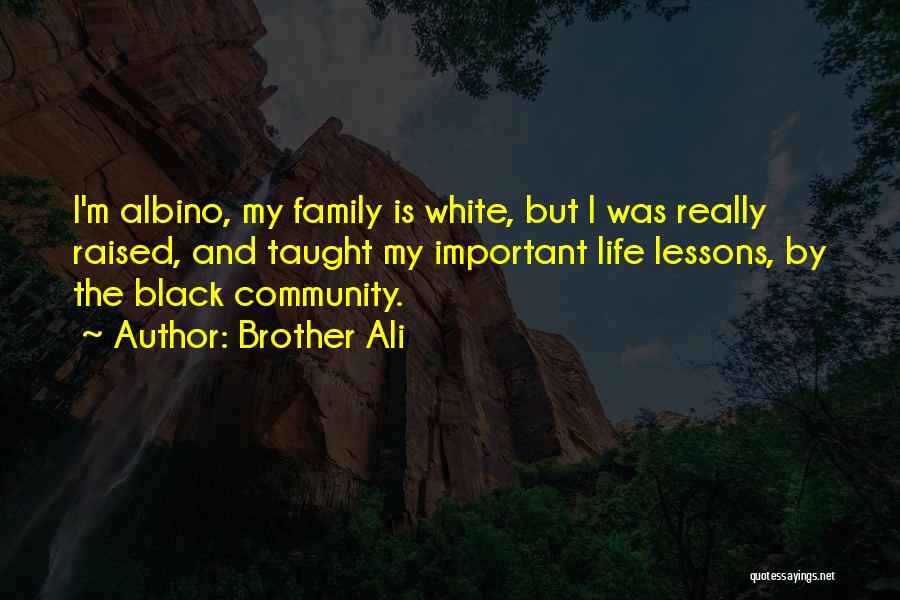 Community Family Quotes By Brother Ali