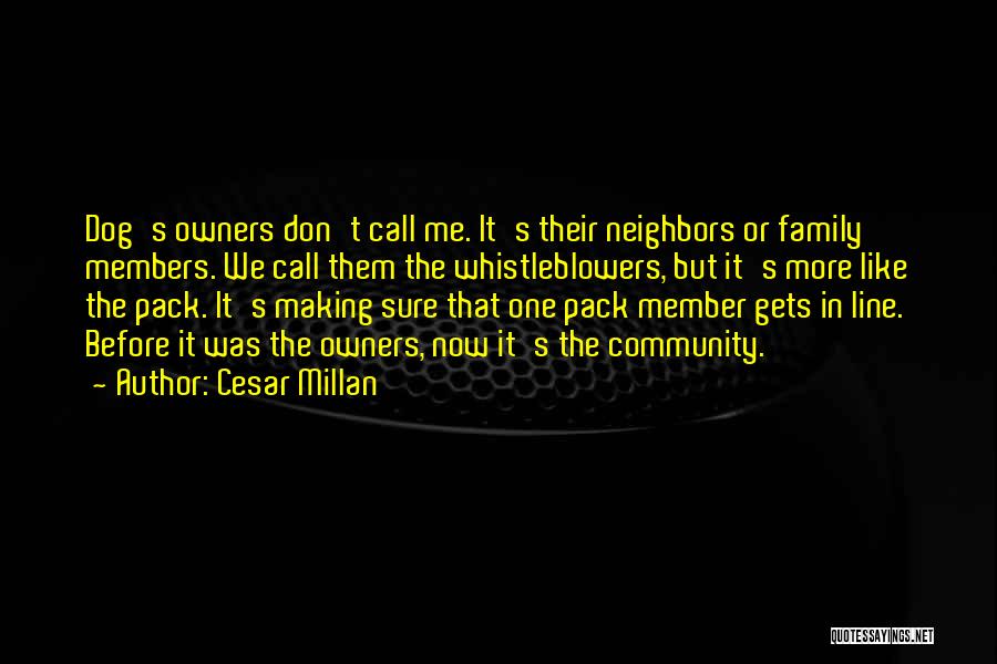 Community One Line Quotes By Cesar Millan