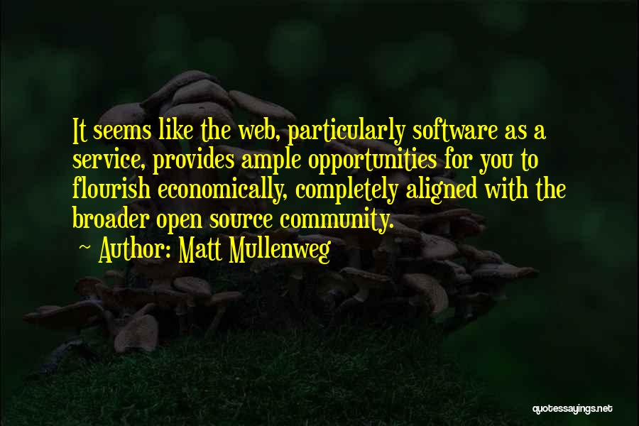 Community Service Quotes By Matt Mullenweg