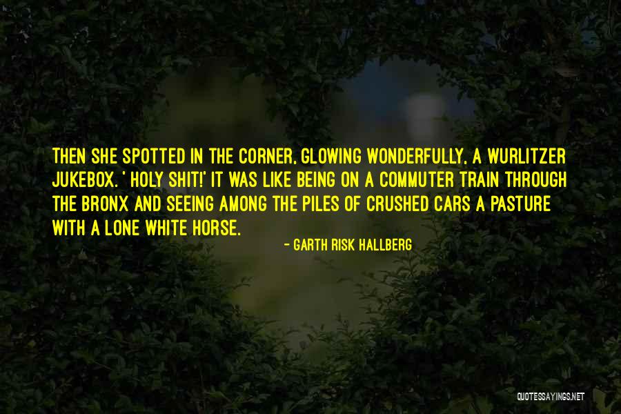 Commuter Train Quotes By Garth Risk Hallberg Commuter Train Quotes By Garth Risk Hallberg
