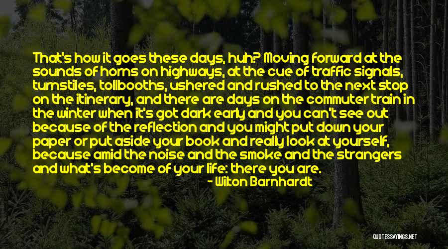 Commuter Train Quotes By Wilton Barnhardt Commuter Train Quotes By Wilton Barnhardt