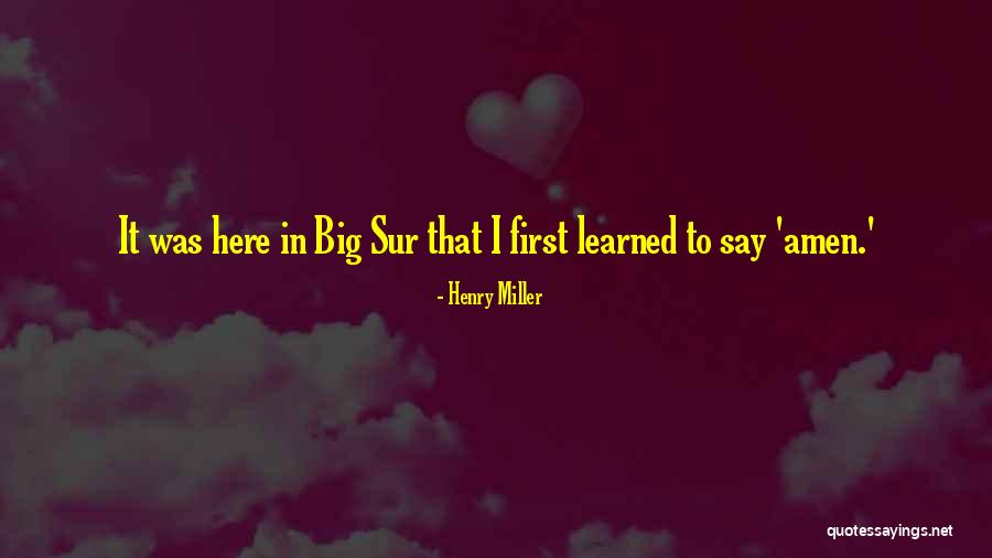 Compaero Distributors Quotes By Henry Miller