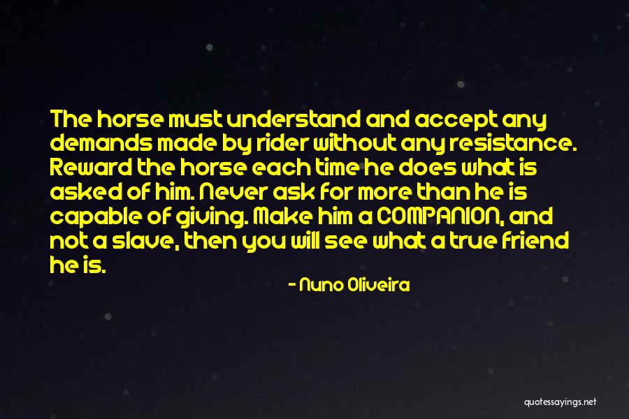 Companion Friend Quotes By Nuno Oliveira Companion Friend Quotes By Nuno Oliveira