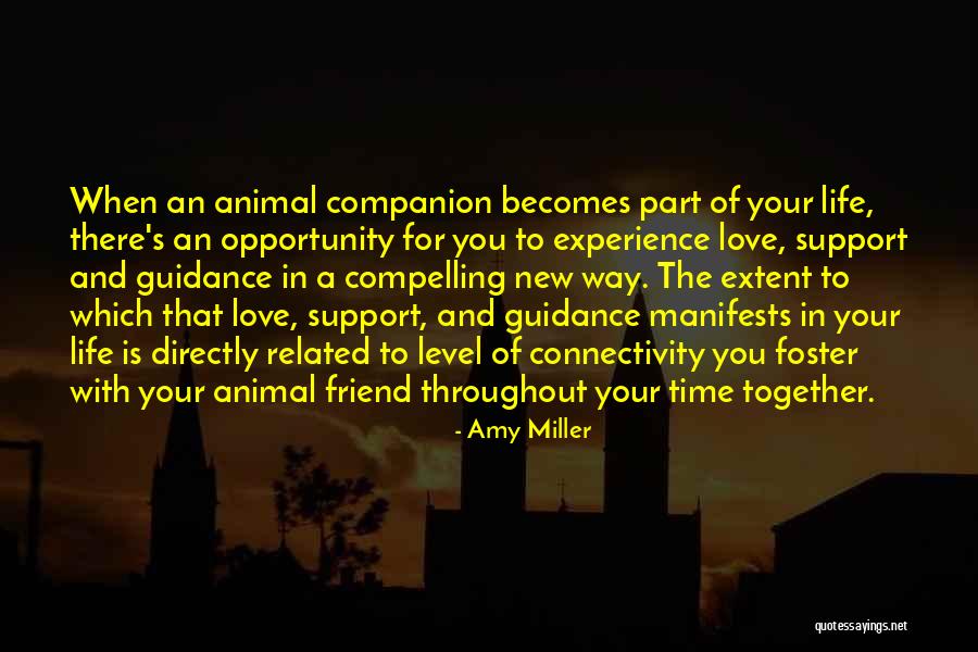 Companion In Life Quotes By Amy Miller Companion In Life Quotes By Amy Miller
