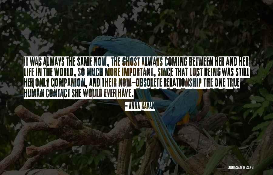 Companion In Life Quotes By Anna Kavan Companion In Life Quotes By Anna Kavan