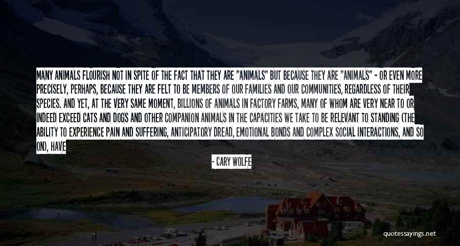 Companion In Life Quotes By Cary Wolfe Companion In Life Quotes By Cary Wolfe