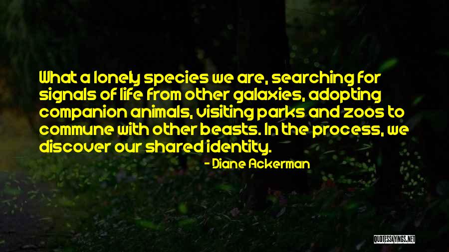 Companion In Life Quotes By Diane Ackerman Companion In Life Quotes By Diane Ackerman