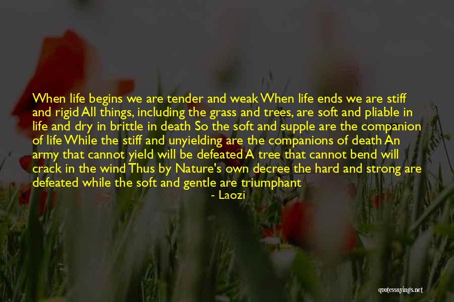 Companion In Life Quotes By Laozi Companion In Life Quotes By Laozi