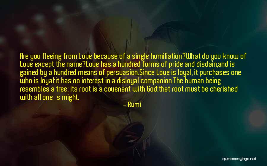 Companion In Life Quotes By Rumi Companion In Life Quotes By Rumi