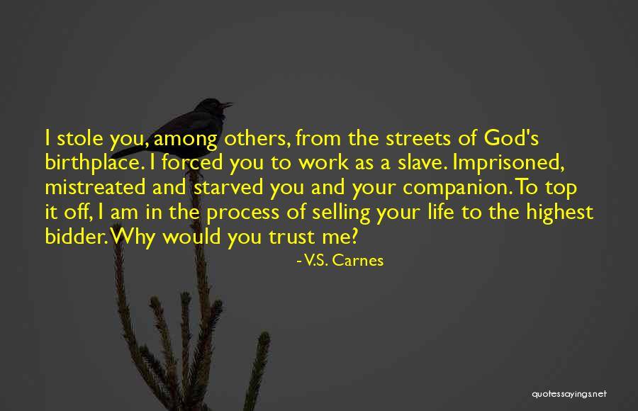 Companion In Life Quotes By V.S. Carnes Companion In Life Quotes By V.S. Carnes