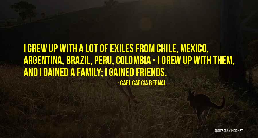 Companionate Relationship Quotes By Gael Garcia Bernal Companionate Relationship Quotes By Gael Garcia Bernal