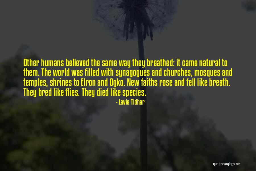 Companioned Quotes By Lavie Tidhar Companioned Quotes By Lavie Tidhar