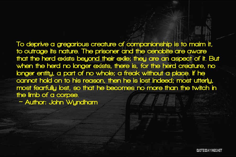 Companionship And Loneliness Quotes By John Wyndham