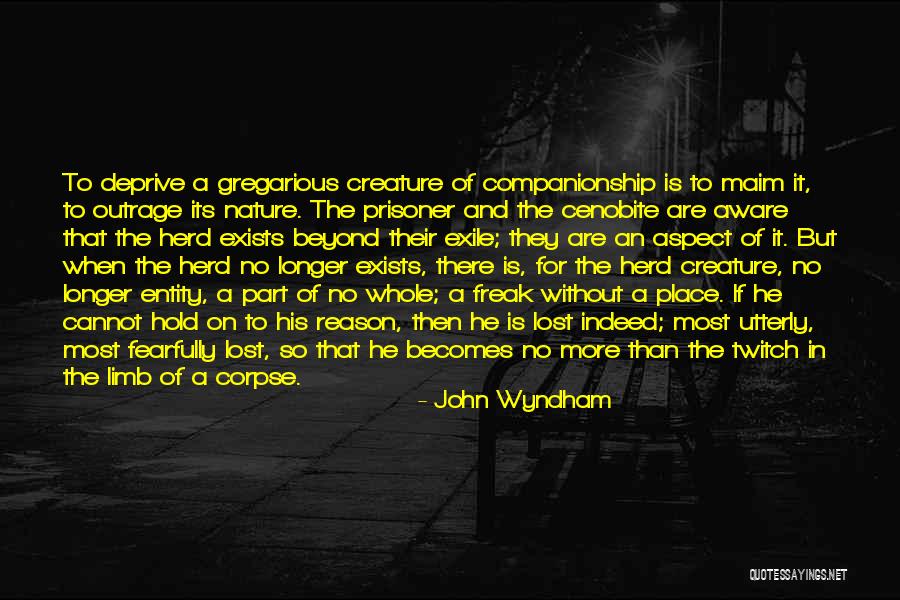 Companionship And Loneliness Quotes By John Wyndham Companionship And Loneliness Quotes By John Wyndham