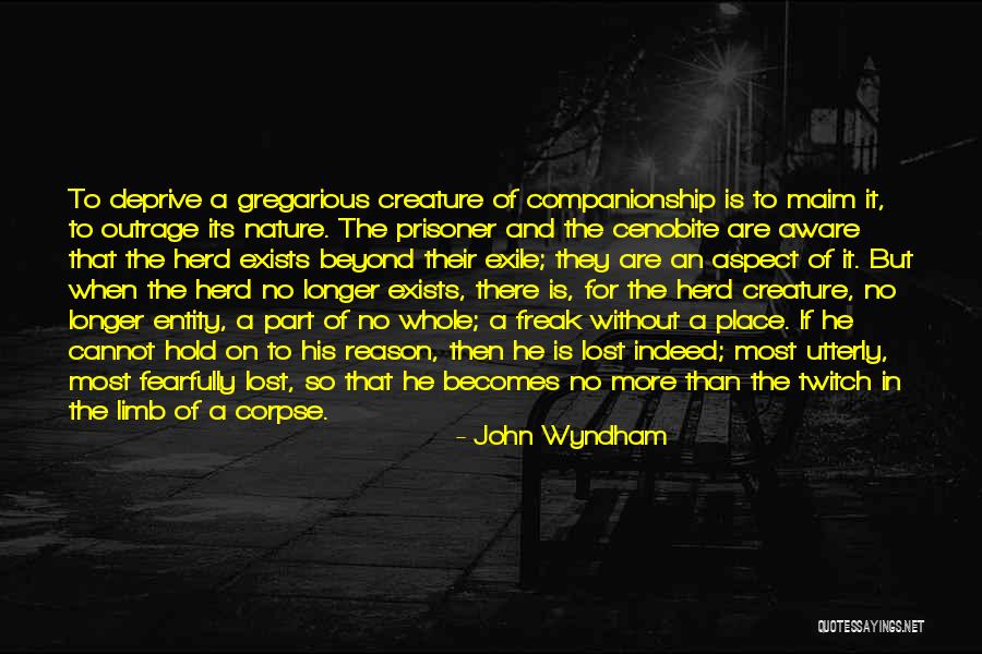 Companionship And Loneliness Quotes By John Wyndham