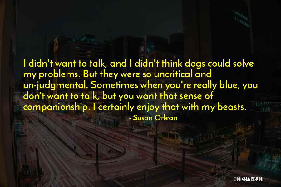 Companionship Of Dogs Quotes By Susan Orlean