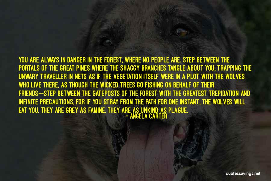 Company Of Wolves Quotes By Angela Carter Company Of Wolves Quotes By Angela Carter