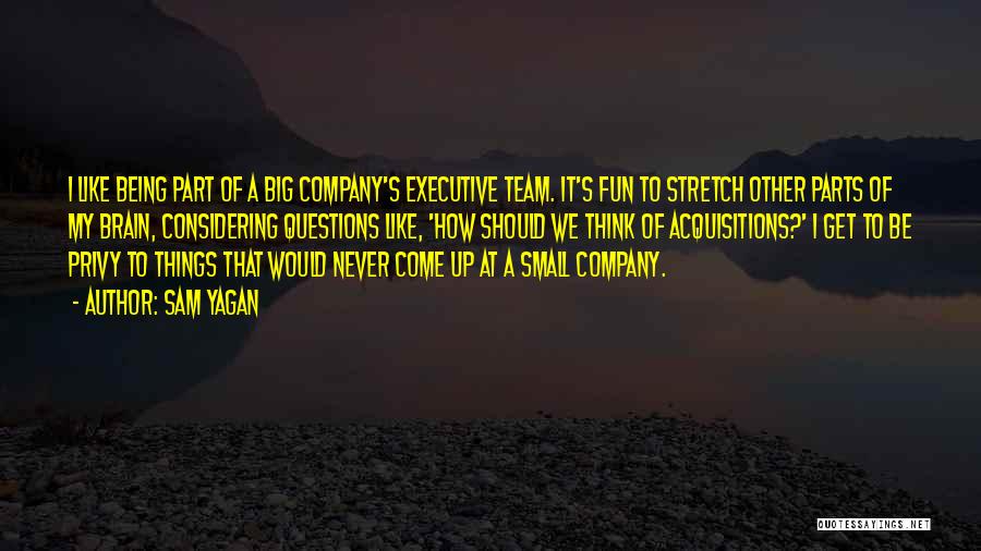 Company Team Quotes By Sam Yagan