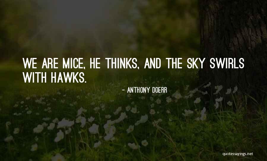 Comparacion Cultural Ap Quotes By Anthony Doerr Comparacion Cultural Ap Quotes By Anthony Doerr