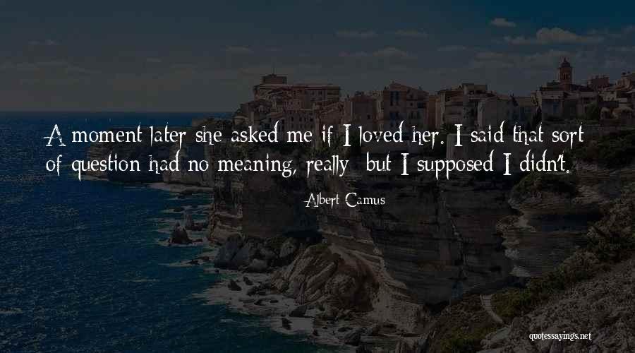Compare The Meerkat Insurance Quotes By Albert Camus Compare The Meerkat Insurance Quotes By Albert Camus