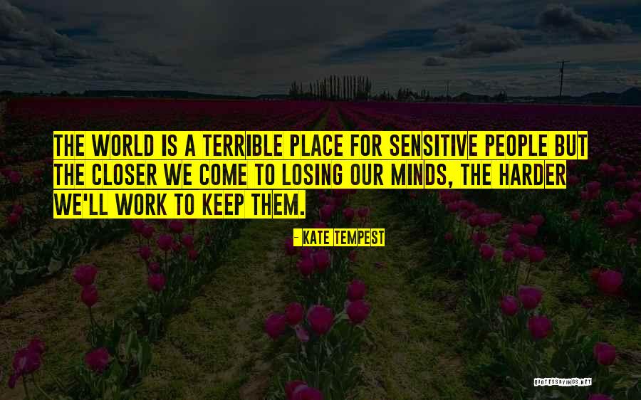 Compare The Meerkat Insurance Quotes By Kate Tempest Compare The Meerkat Insurance Quotes By Kate Tempest