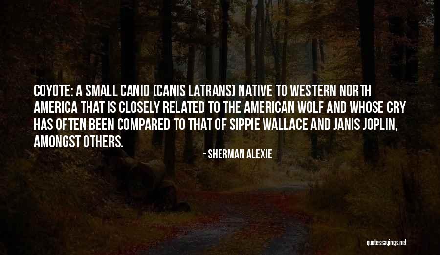 Compared Quotes By Sherman Alexie Compared Quotes By Sherman Alexie