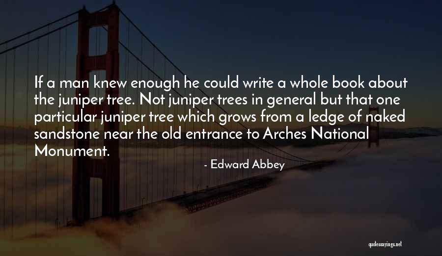 Comparing A Person To A Bird Quotes By Edward Abbey Comparing A Person To A Bird Quotes By Edward Abbey