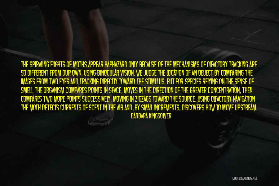 Comparing Ourselves To Others Quotes By Barbara Kingsolver Comparing Ourselves To Others Quotes By Barbara Kingsolver