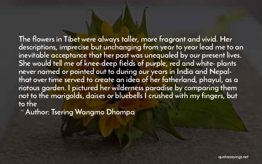 Comparing The Past To The Present Quotes By Tsering Wangmo Dhompa