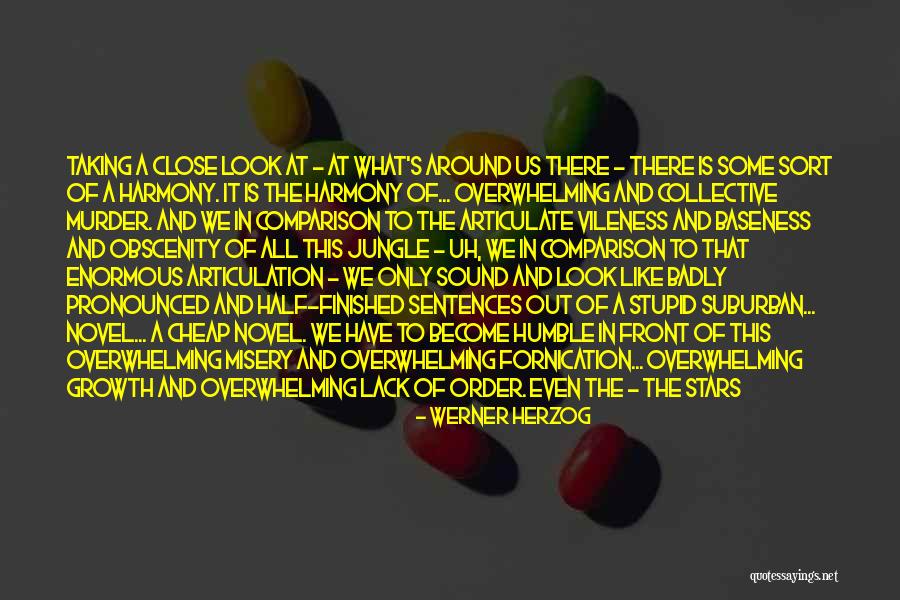 Comparison Love Quotes By Werner Herzog Comparison Love Quotes By Werner Herzog