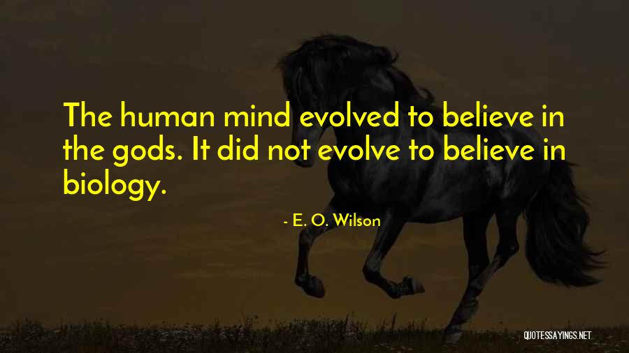 Compartir Sinonimos Quotes By E. O. Wilson Compartir Sinonimos Quotes By E. O. Wilson