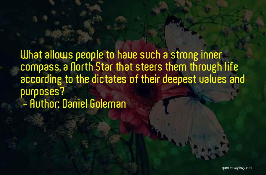 Compass And Life Quotes By Daniel Goleman