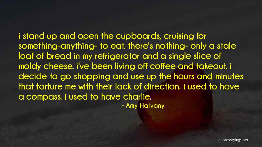 Compass Direction Life Quotes By Amy Hatvany Compass Direction Life Quotes By Amy Hatvany