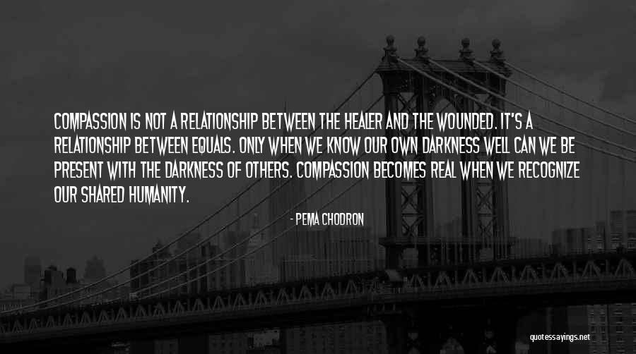 Compassion And Humanity Quotes By Pema Chodron