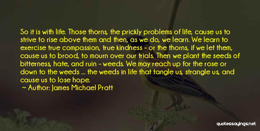 Compassion And Kindness Quotes By James Michael Pratt