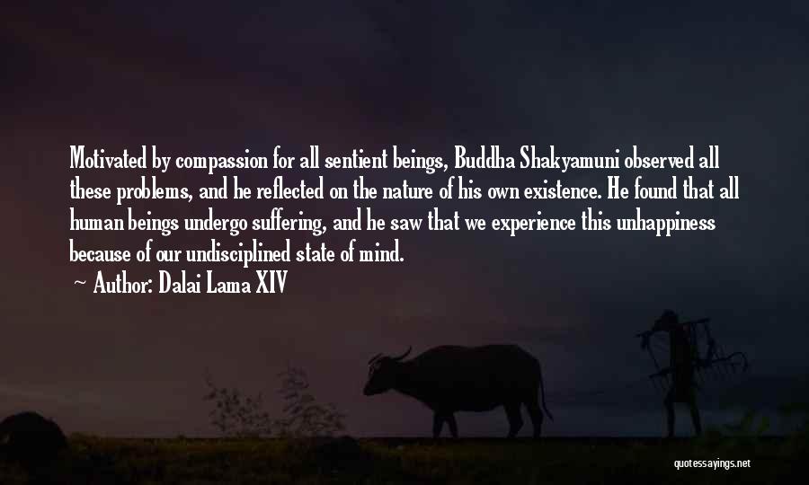 Compassion Buddha Quotes By Dalai Lama XIV