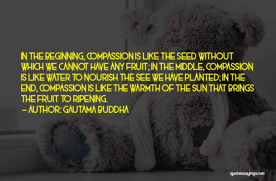 Compassion Buddha Quotes By Gautama Buddha