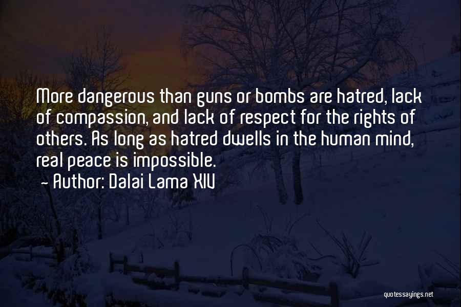 Compassion For Others Quotes By Dalai Lama XIV